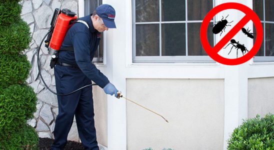 Beyağaç Dezenfeksiyon böcek ilaçlama ve haşere kontrolü — ilaclama-tr.com